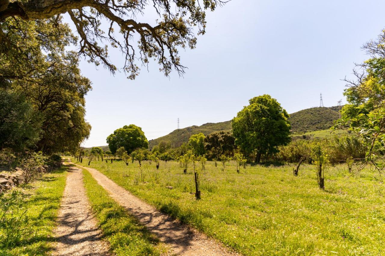 Finca Sta Teresa, Casa Grande Εστεπόνα Εξωτερικό φωτογραφία