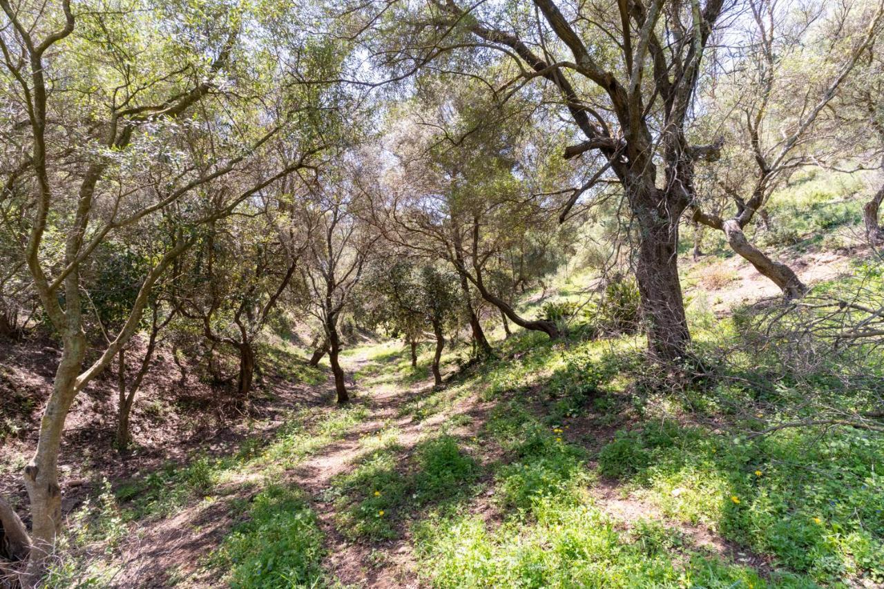 Finca Sta Teresa, Casa Grande Εστεπόνα Εξωτερικό φωτογραφία