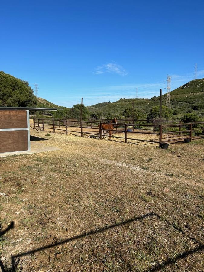 Finca Sta Teresa, Casa Grande Εστεπόνα Εξωτερικό φωτογραφία