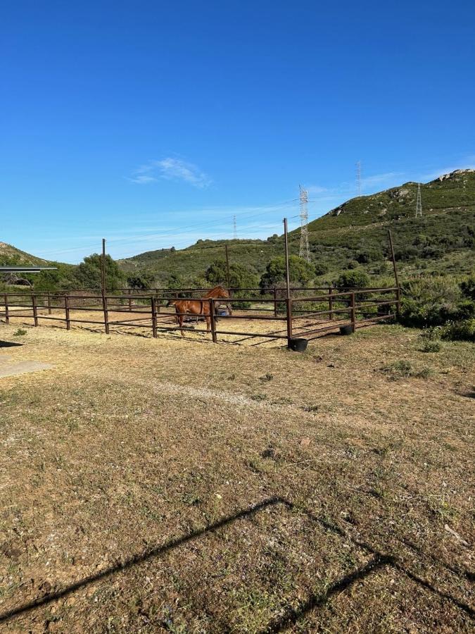 Finca Sta Teresa, Casa Grande Εστεπόνα Εξωτερικό φωτογραφία
